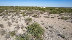 Suttle and Company Real Estate