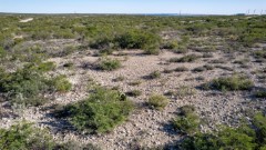 Suttle and Company Real Estate