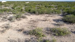 Suttle and Company Real Estate