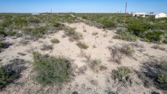 Suttle and Company Real Estate