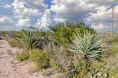 Suttle and Company Real Estate