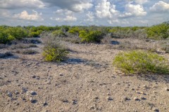 Suttle and Company Real Estate