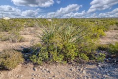 Suttle and Company Real Estate