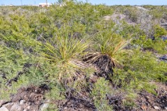 Suttle and Company Real Estate