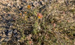 Suttle and Company Real Estate