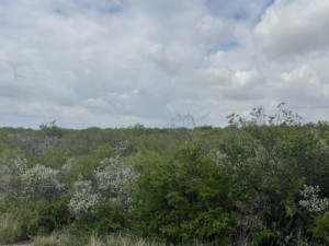 Texas Hill Country and Frio Canyon Properties