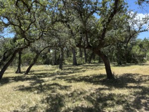 Texas Hill Country and Frio Canyon Properties