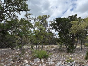 Texas Hill Country and Frio Canyon Properties
