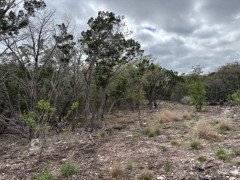 Suttle and Company Real Estate