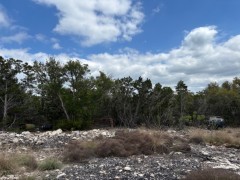 Suttle and Company Real Estate