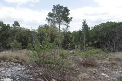 Suttle and Company Real Estate