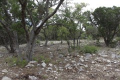 Suttle and Company Real Estate