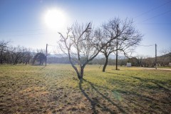 Suttle and Company Real Estate