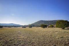 Suttle and Company Real Estate