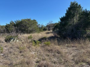 Texas Hill Country and Frio Canyon Properties