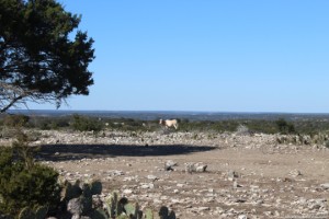 Texas Hill Country and Frio Canyon Properties