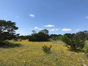 Texas Hill Country and Frio Canyon Properties